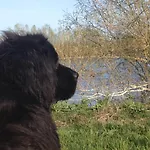 Дом отдыха Le Calyaden Athis (Marne)
