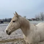 Le Calyaden Дом отдыха *